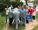 World Elephant Day 2017-UB CBE graduate students helped staffer Lori DuVall re-make the UB Bull into an elephant to raise awareness for elephant welfare.