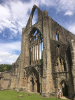 Tintern Abbey is the was the first Cistercian foundation in Wales, and only the second in Britain (after Waverley Abbey).