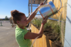 Stephanie Acquario waters plants at GRoW Home using water from a morning hot water draw. Photo: Carol Laurie/U.S. Department of Energy Solar Decathlon