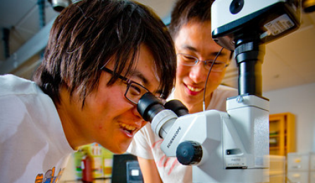 Students in Lab. 