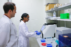 Allanis Persaud (right), a biomedical engineering student, observes the optimal binding conditions of various virus proteins to liposomes, to create nanoparticles for vaccine delivery. Her mentor, Jonathan Lovell, SUNY Empire Innovation Professor in the Department of Biomedical Engineering, examines the process. 