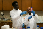Bubacar Ndoye (left), a biomedical engineering student, examines a specimen with Research Associate Professor of Biomedical Engineering, Debanjan Sarkar. Ndoye’s research examines bone tissue regeneration with colloidal gel tissue scaffolds. 