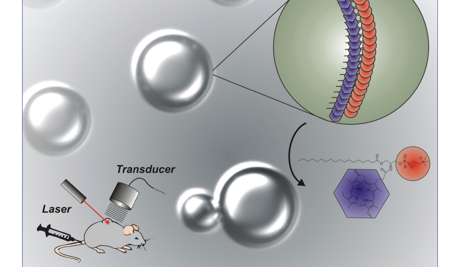 ‘Colored microbubbles’ to help doctors see inside our bodies ...