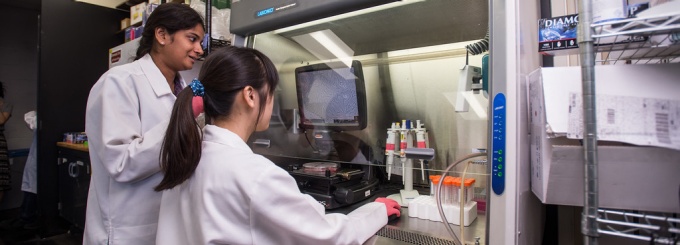 photo of two students working in a CBE lab at a fume hood. 
