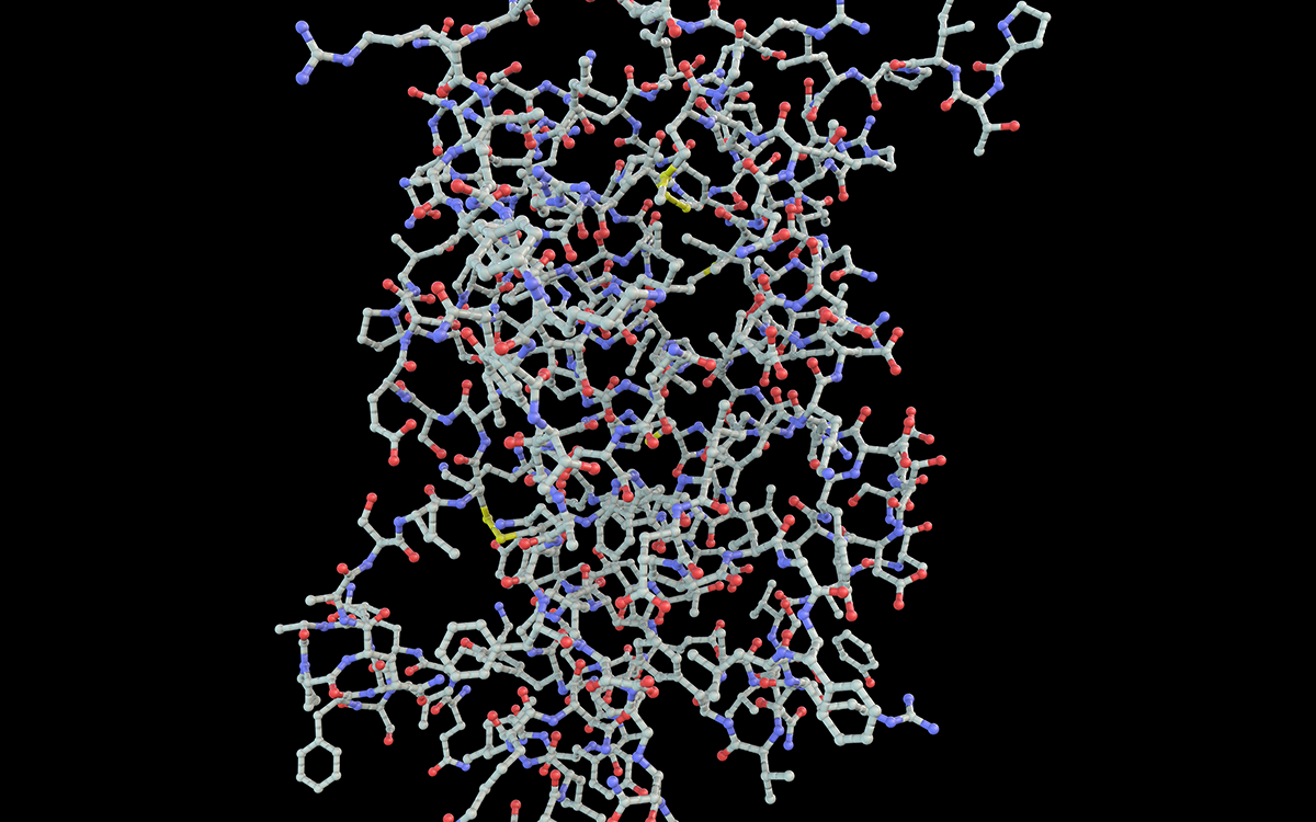 3D illustration of Human Growth Hormone. Resembles branches and different connections similar to DNA. 