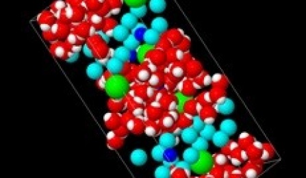 Molecular Simulation Model. 