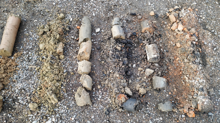 Multiple soil core samples arranged on the ground, displaying variations in soil color, texture, and composition.