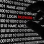 Photo of computer screen with code and password images. 