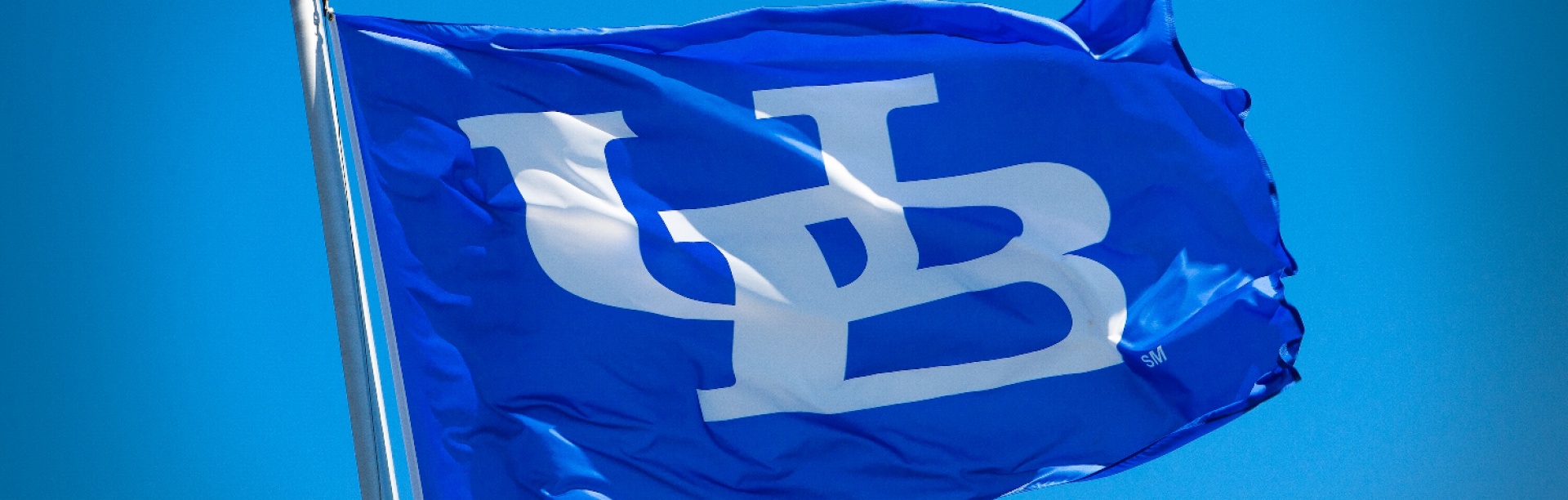 Flag with interlocking UB. 