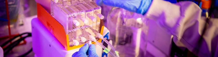 Closeup of hands working in a SEAS lab. 