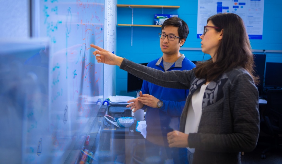 two students conduct research in a lab. 