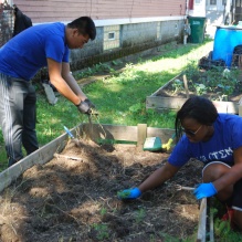 UB STEM students working in gardens. 