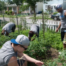 Students working in gardens.