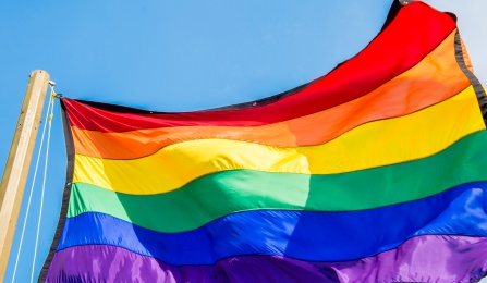 rainbow/pride flag. 