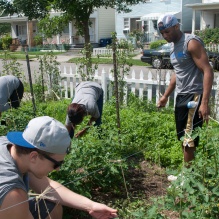 Students working in gardens. 