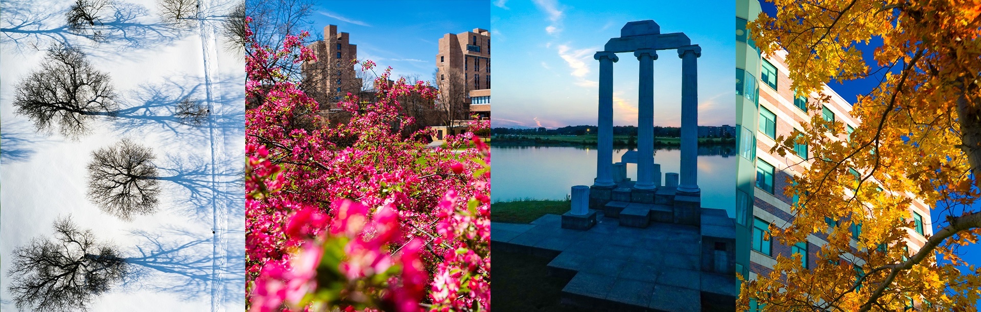 Collage of UB's campuses during all four beautiful seasons. 