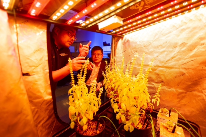 Jinjun Xiong works with others in a greenhouse space in his lab in Davis Hall in January 2024. 