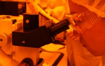 Student looking in microscope. 