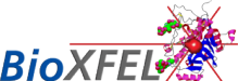 BioXFEL Logo. 