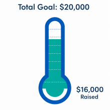 Total goal: $20,000 thermometer graphic showing $16,000 raised. 