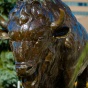 UB Bronze Bull. 